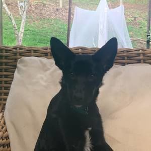 Meet your Posher, Trina